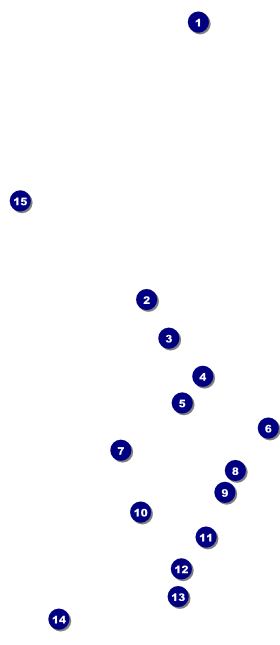 Winter Festival VIP Pass Front Field Markers