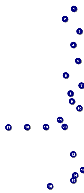 Alternative Music VIP Pass Front Field Markers