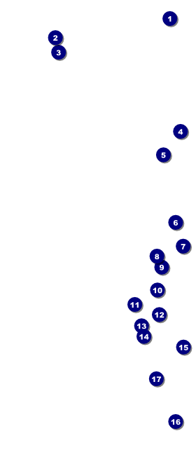 Birthday Party VIP Pass Front Field Markers