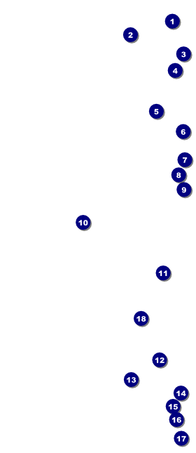 El Paso VIP Pass Front Field Markers