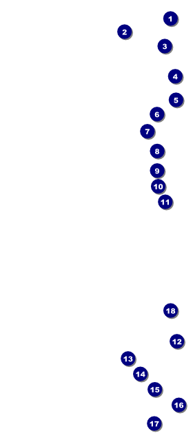 Sacramento VIP Pass Front Field Markers