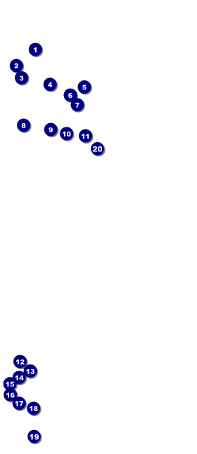 London VIP Pass Front Field Markers