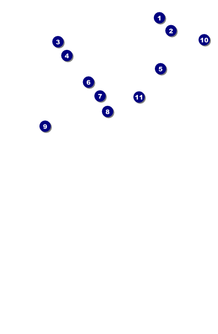 Nevada Drink Ticket Front Field Markers