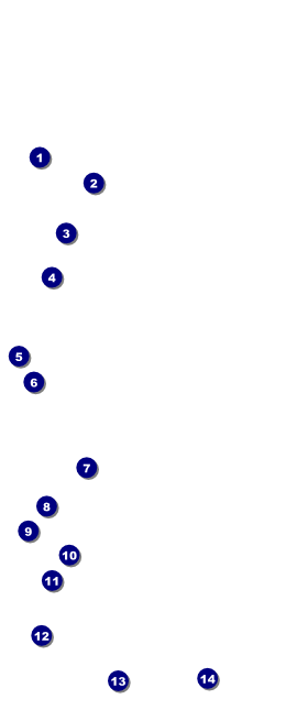 Astrology VIP Pass Front Field Markers