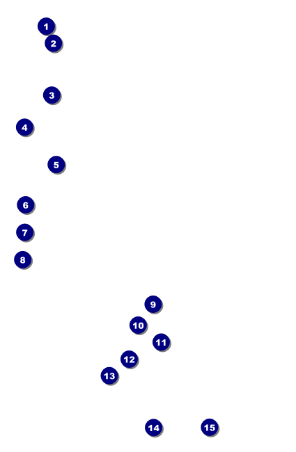 Soccer Stadium Drink Ticket Front Field Markers