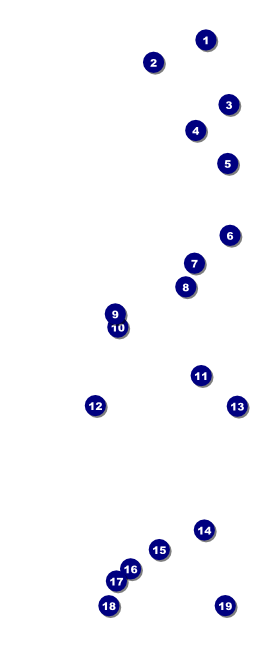 Rugby Stadium VIP Pass Front Field Markers
