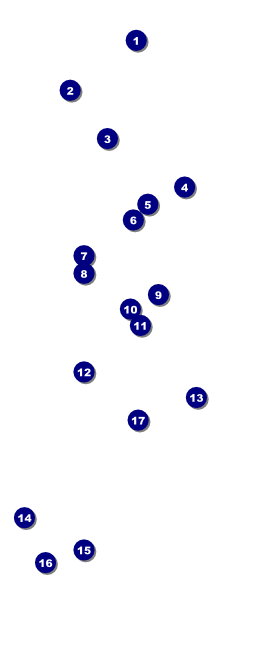 Summer Cut Paper VIP Pass Front Field Markers