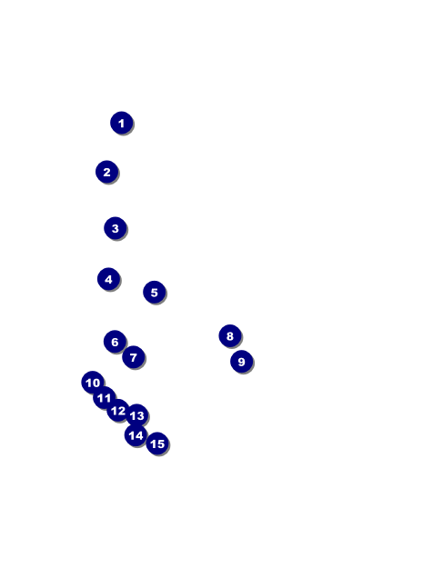 Cooking School Invitation Front Field Markers