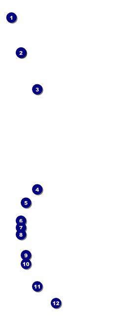 Coffee VIP Pass Front Field Markers