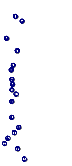 Renaissance VIP Pass Front Field Markers
