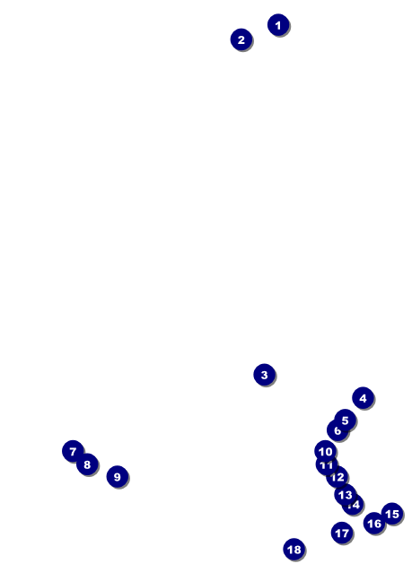 Cherry Blossom Circle Club Flyer Front Field Markers