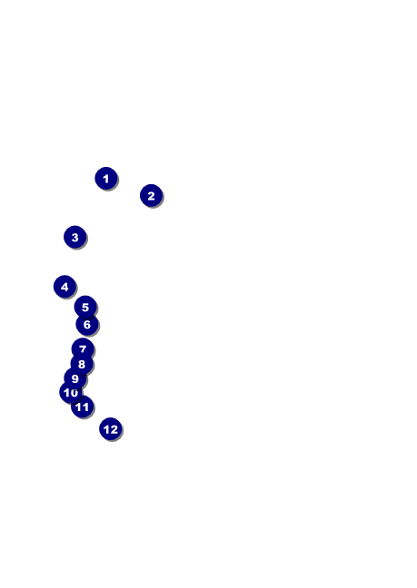 Fire and Ice Club Flyer Front Field Markers