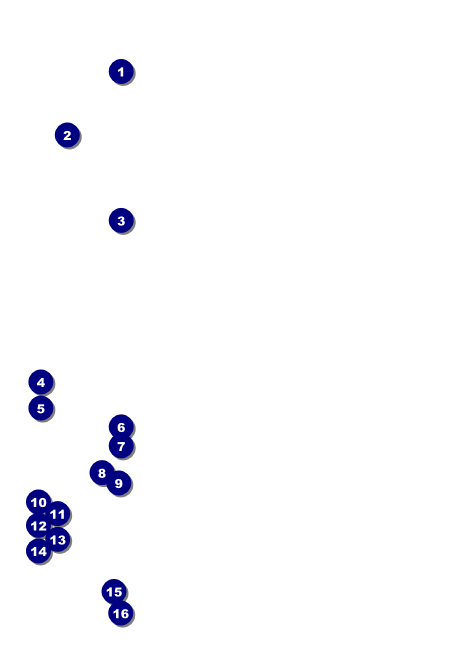 African Theme Club Flyer Front Field Markers